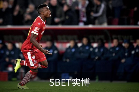 SBET实博介绍